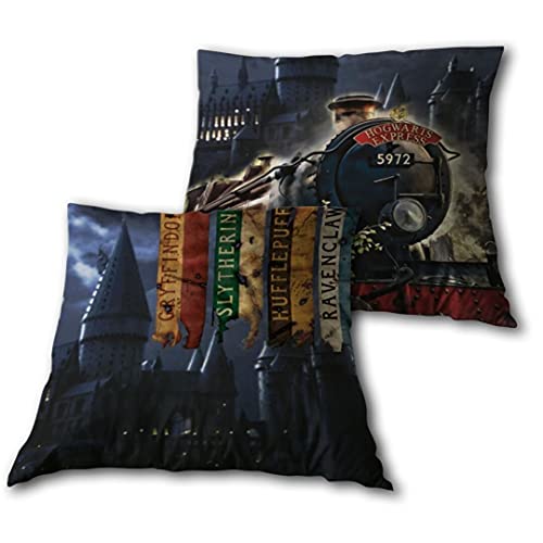 Harry Potter Coussin compatblie 35cm imprimée Recto Verso