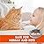 KATIX Flea and Tick Collar for Cats, Cat Flea Collars, 12 Months Protection, 13 Inches in Length, 100% Herbal Ingredients, Waterproof Tick Collar for Cats, Durable Protection, One Size Fits All