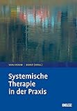  Systemische Therapie in der Praxis