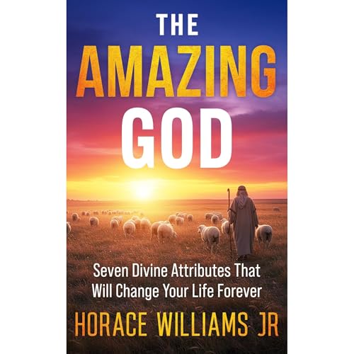 The Amazing God Audiolibro Por Horace Williams Jr arte de portada