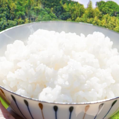 晴れの国おかやま無洗米5kg1袋 岡山県 笠岡市