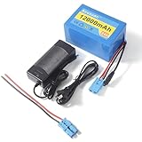 Airuxuan 24V 12Ah Lithium Battery for Kids Ride-On Cars & Power Wheels, 25A BMS, 2A Fast Charger,Compatible with Dynacraft Realtree 24V UTVs & Disney Princess Carriage