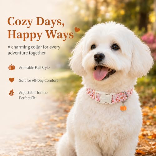 Image of ARING PET Fall Dog Collar for Puppy Small Medium Large Dog-Pink Pumpkin XL | Cute Autumn Basic Doggy Collars with Charm for XS S M L XL Boy Girl Dogs, Soft Comfy Sturdy, Harvest Pumpkin Patch Visits
