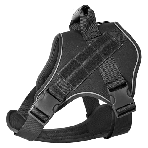 ���^�� �� �n�[�l�X �ʋC�� ��^�� ���[�h ��������h�~ ���p���� ���b�V�� �ȒP���E ���n�[�l�X�����i�C�����y�b�g�x �X�g���[�L���O�h�b ���S �������P�����݌y�� �����p �P ������� �R���E����P�� ���U�� ���^�E��^���p (�u���b�N, S)