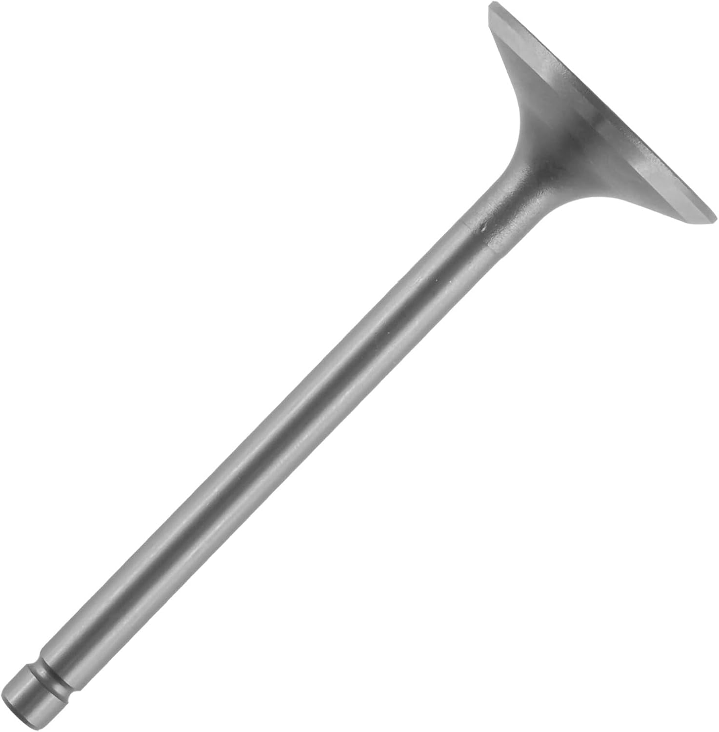 Generic Intake Valve with dimensions: 3.97 inches (101 mm) length, 1.45 inches (37 mm) head diameter