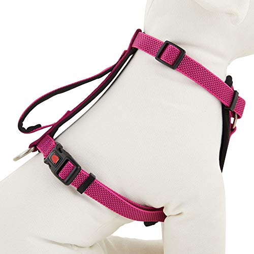 Kong Comfort Padded Chest Plate Dog Harness Offered By Barker Brands Inc thumb #3