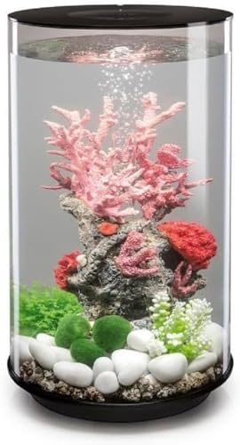 biOrb Tube 30 Aquarium en Acrylique, éclairage LED Noir Standard Blanc, Vue à 360 degrés, système de Filtration en 5 étapes, Installation Facile, Comprend Pompe à...