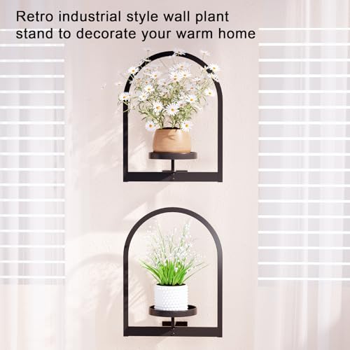 Image of Flenpptly Wall Plant Holder, Wall Planter for Indoor Plants, Window Plant shelves for Multiple Plants Indoor Outdoor, Framed Plant Holder for Home Decor (2 Pack)