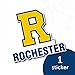 Desert Cactus University of Rochester Yellowjackets Vinyl Decal Laptop Water Bottle Car Scrapbook Sticker (IND 009)