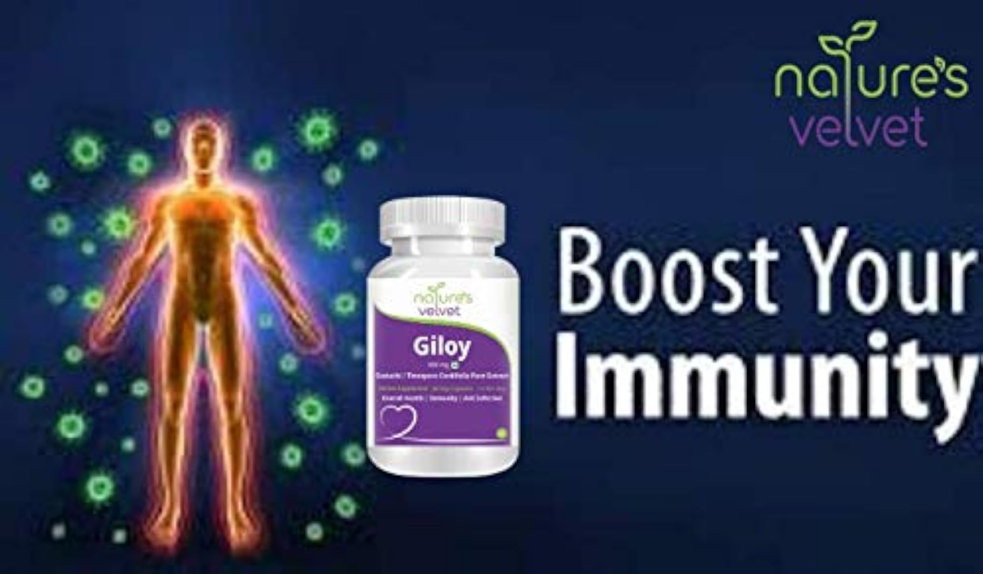 Giloy Extract Capsules, 500mg, 60 Capsules