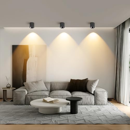 Image of 24W LED Dimmable Black Ceiling Spot Light 4.92'' Aluminum CRI90 3000KCylinder Spotlight Indoor Modern Minimalist Focus Black Ceiling Down Light Fixture for Living Room Hallway Foyer