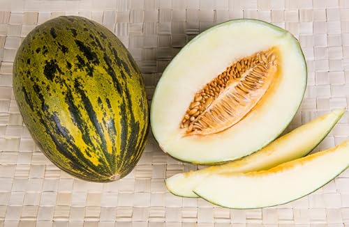 Piel de Sapo Santa Claus Melon Seeds