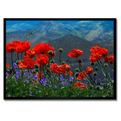 Poster coquelicots rouges avec cadre blanc 70x50 cm décoration murale salon H4945M