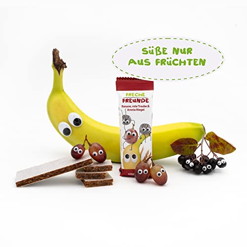FRECHE FREUNDE Bio Fruchtriegel Rote Traube, Aronia & Banane, Obst Riegel für Babys und Kinder ab 1 Jahr, fruchtiger Snack ohne Zuckerzusatz, vegan, laktosefrei, 6er Pack, 6x (4x 23g)