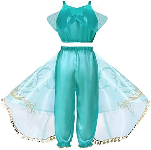 Hamanasu Jasmine Princess Costume for Girls Princess Fancy Dress up Birthday Party Role Play Outfit(Hair Wig,3-4Y/110)