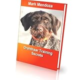 drahthaar foxterrier welpen  Drahthaar Training Secrets (English Edition)