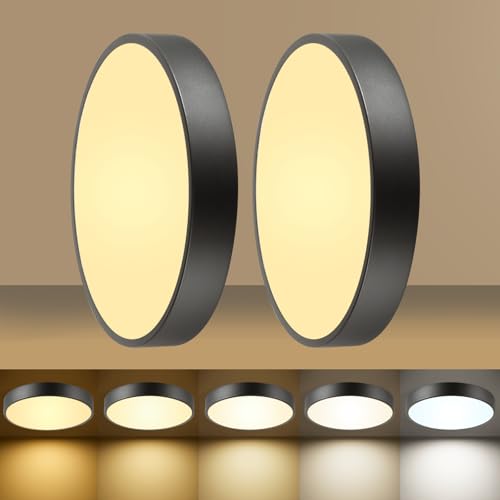 Image of Flush Mount Ceiling Light Fixtures Black LED Dimmable 5CCT 12In 24W 2Pack