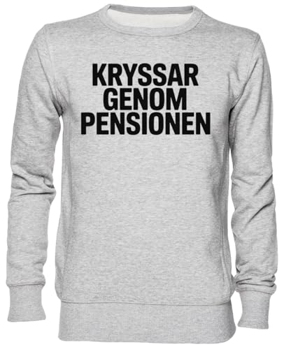 Pull gris unisexe Kryssar Genom Pensionen sweat idéal pour la détente