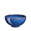 Rice Bowl