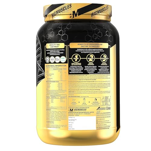 Image of Bigmuscles Nutrition Premium Gold Whey 1Kilogram[Belgian Chocolate] + Karnage Pre-Workout 300 Gm, 1 Scoop