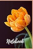  Notebook: Modern Cover - Size (6 x 9 inches) 100 Pages: Paper Paperback – Feb, 4, 2020