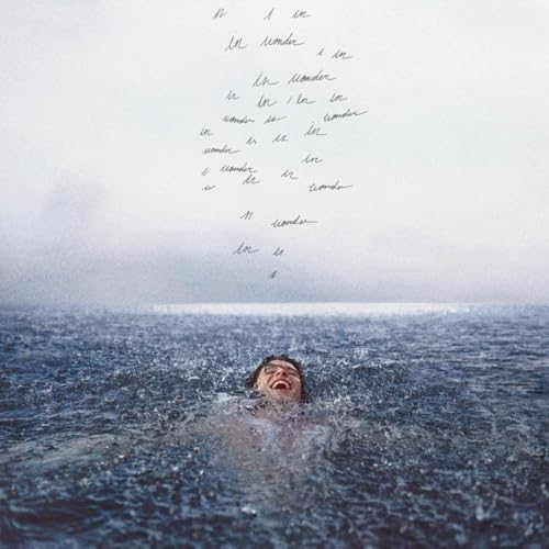 Album Art for Shawn Mendes - Wonder by Shawn Mendes