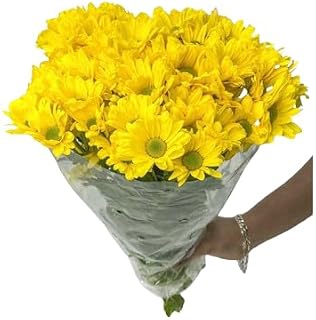 Ramo de Crisantemos Naturales Flores Frescas Color Amarillo Ramo con 100 Flores de Margarita de Temporada