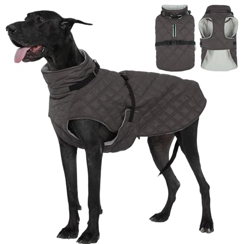 KuoserphR[g hWPbg t[Xn obN DOt EȒP \tg K O[3XL(4L)