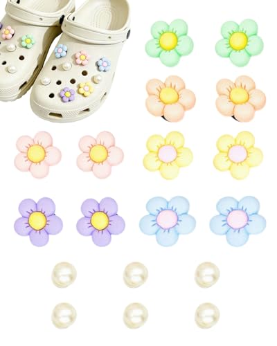 WINXMIN 18 Piezas Adornos para Zapatos, pins para crocs, Adornos para Zapatos de sandalias de zueco para Niñas Mujeres Niños, decoración de zapatos para Regalos de Niños Fiesta Cumpleaños(E)