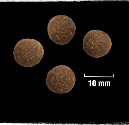 CRAVE Katze Beutel mit Truthahn und Huhn 2.8kg