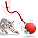 猫 おもちゃ 自動猫ボールおもちゃ 動く猫ボールおもちゃ 自動 360 度回転ローリング ボール USB 充電付き Type-C充電コネクタ 猫用長い尾付き電動自動おもちゃ 猫の運動不足解消 本能を刺激します