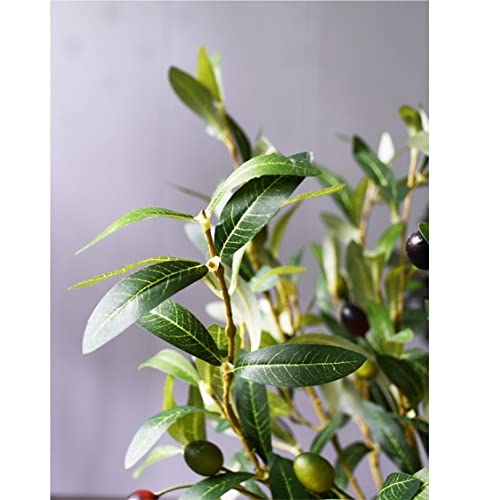 Reviews y listado de Bonsai olivo favoritos de las personas. 9 Imagen adicional