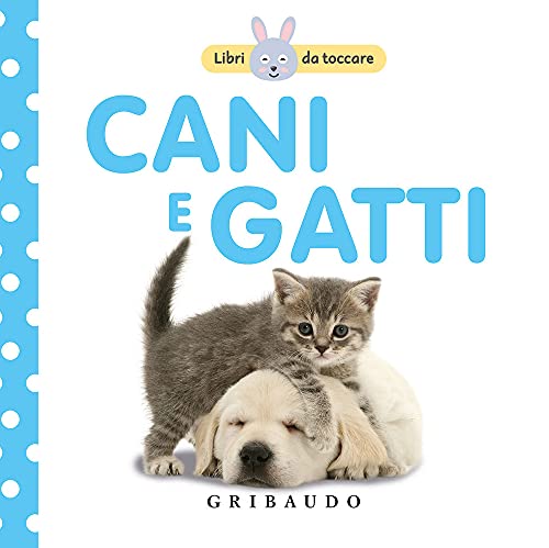 Cani e gatt