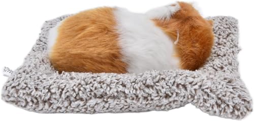 Ayush International Soft Sleeping Cat Plush Toy for Kids | Realistic Cat Sounds on Press | Cuddly Stuffed Animal Fur Toy Ayush International Soft Sleeping Cat Plush Toy for Kids | Realistic Cat Sounds on Press | Cuddly Stuffed Animal Fur Toy