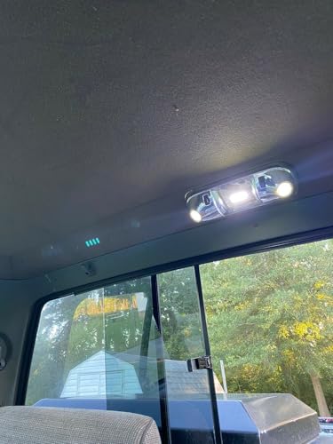 Bombillas LED para luz interior 6000k para Ford 3 piezas miniatura 3