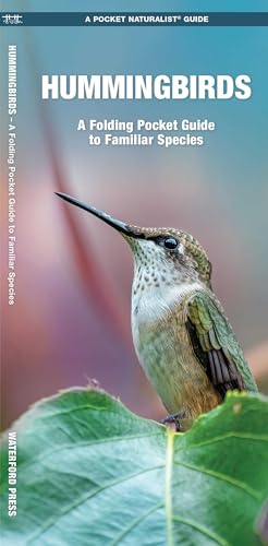 Hummingbirds: A Folding Pocket Guide To Familiar Species (A Pocket Naturalist Guide) (Pocket Naturalist Guide Series)