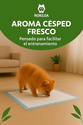 Miniatura 2 de Nokloa Empapadores Perros 60x60 Con Olor Césped Pack 50 Nokloa Almohadillas Entrenamiento Perro Tapetes Absorbentes Desechables