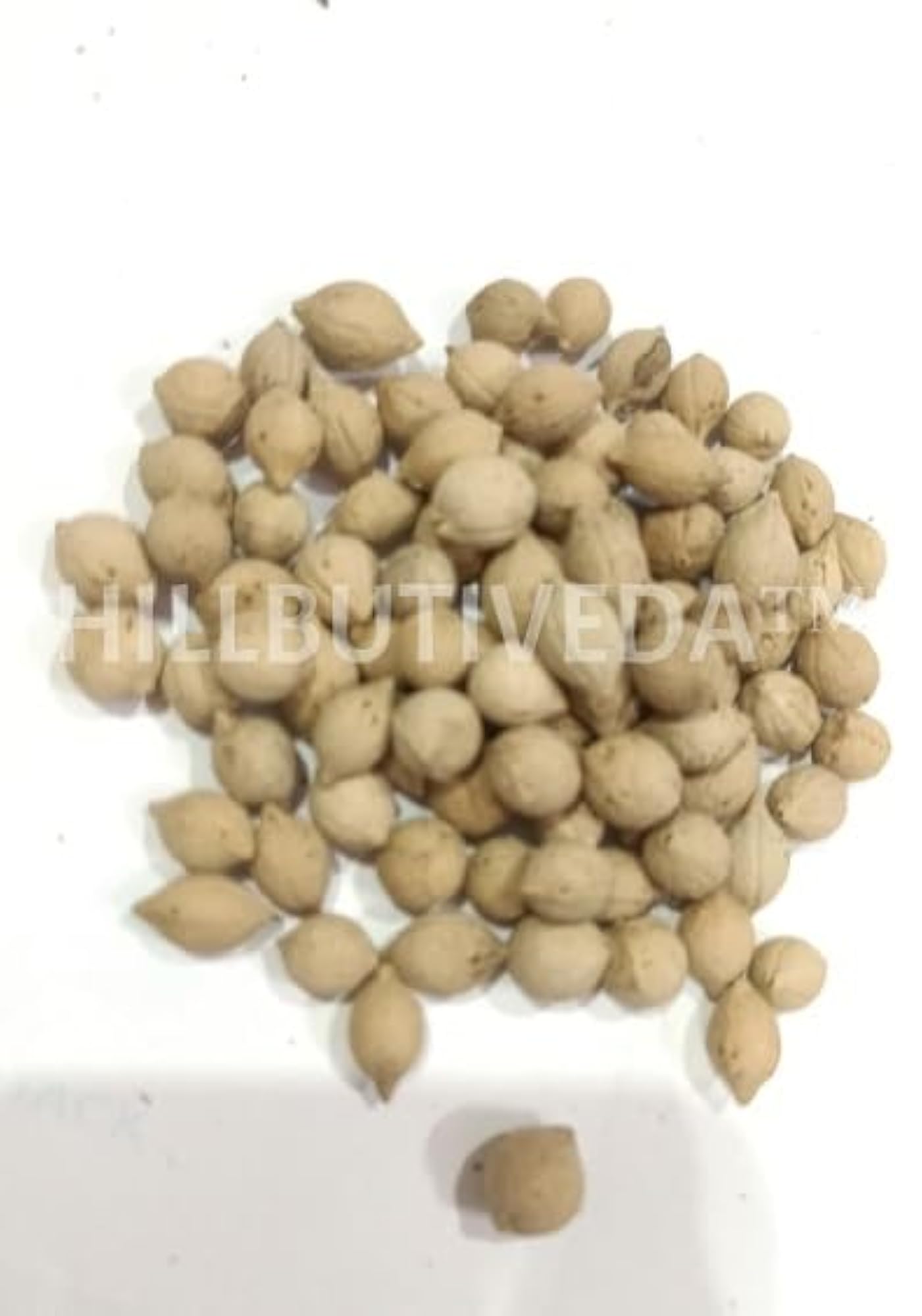Putrajeevak Beej 250g, Herbal Seed for Wellness
