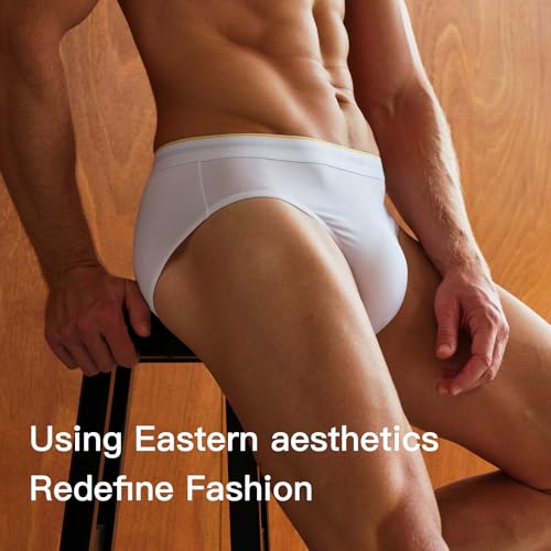 Men's Cotton Modal Mid-Rise Underwear Briefs – Breathable, Moisture Wicking, Comfortable, 4-Pack C5274