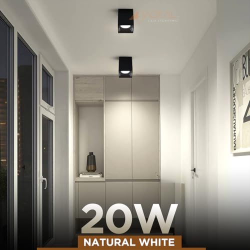 Image of JACKAL Square LED Spotlight, 20W Aluminum Surface Mounted Black Light, COB Surface Spotlight, Ceiling Light, Cubical Square Ceiling Mounted Spot /High Brightness Downlight - Warm White