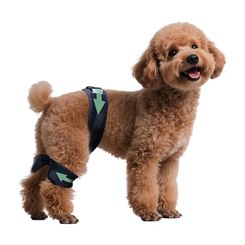 Adjustable Dog Leg Brace for Hip Dysplasia,Breathable & Supportive Dog Hip Brace for Pain Relief, Preventing and Improving Joint Dysplasia Hip Brace for Dogs,S