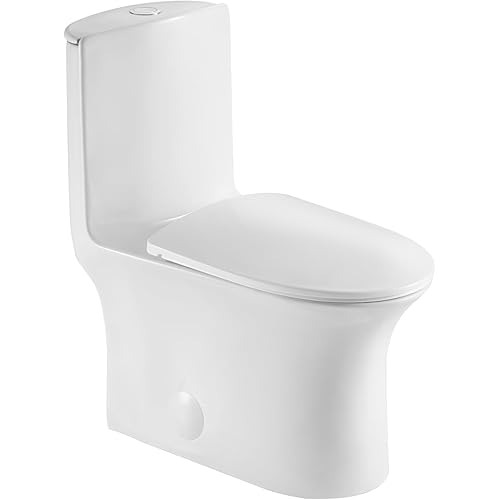Dual Flush Elongated Standard One Piece Toilet for Bathroom Comfort Height in White