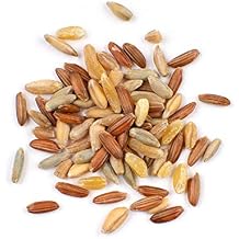 Ancient Whole Grain Blend, 10 lb Hearty 6 Grain Mix with Farro, Freekeh, Red Rice & Rye Bulk Heritage Grain Blend for Soups & Salads by Woodland Gourmet