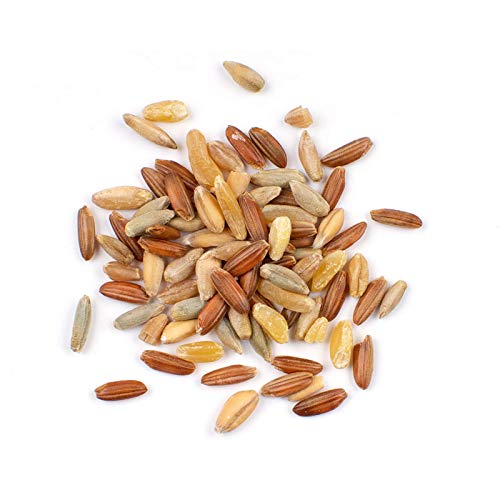 Ancient Whole Grain Blend, 10 lb – Hearty 6 Grain Mix with Farro, Freekeh, Red Rice & Rye – Bulk Heritage Grain Blend for Soups & Salads by Woodland Gourmet