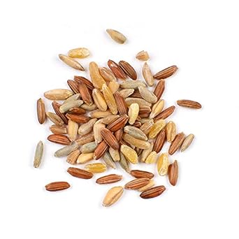 Ancient Whole Grain Blend, 10 lb Hearty 6 Grain Mix with Farro, Freekeh, Red Rice & Rye Bulk Heritage Grain Blend for Soups & Salads by Woodland Gourmet