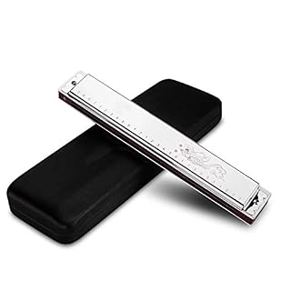 Harmonica 28 Hole Polyphonic Beginner Practice Adult Professional Playing Musical Instrument (Color : Gold Size : C Key… - Les Beatles, Paul McCartney, John Lennon, RIngo Starr, George Harrison
