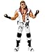 WWE Elite Legends Collection 6-inch Articulated Action Figure Series (Shawn Michaels)