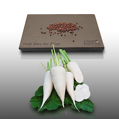 250 graines à semer - Le Grenier d'Abondance - NAVET Blanc dur d'hiver - Rapum