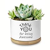 Aryabtya Thank You Gifts for Women, Succulent Planter, Flower Cactus Plant Pot, Employee Appreciation Gifts for Coworkers Nurse Friends Women, Thank You for Being Awesome (No Plants)
