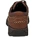 Irish Setter Men's 3874 Soft Paw Waterproof Oxford Casual Shoe,Brown,10 D US